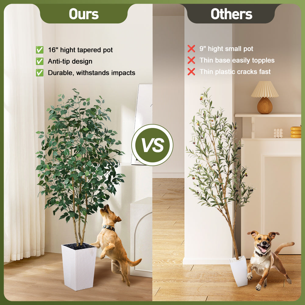VeriNatural 5/6FT Natural Trunk Artificial Ficus Tree UV Resistant with Black/White Taper Planter for Indoor & Outdoor（VN129）