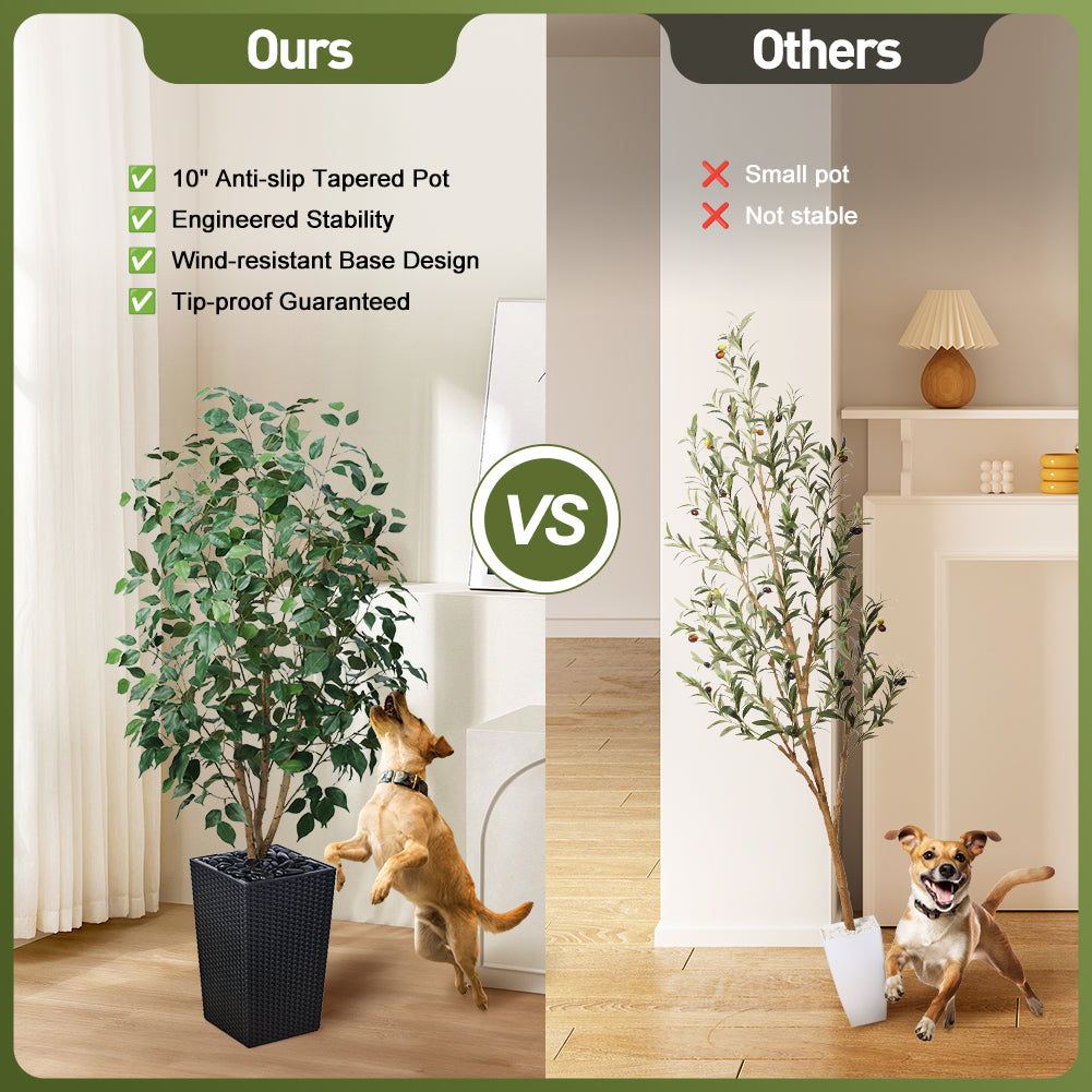 VeriNatural 5/6FT Natural Trunk Artificial Ficus Tree UV Resistant with Black/White Taper Planter for Indoor & Outdoor（VN129）