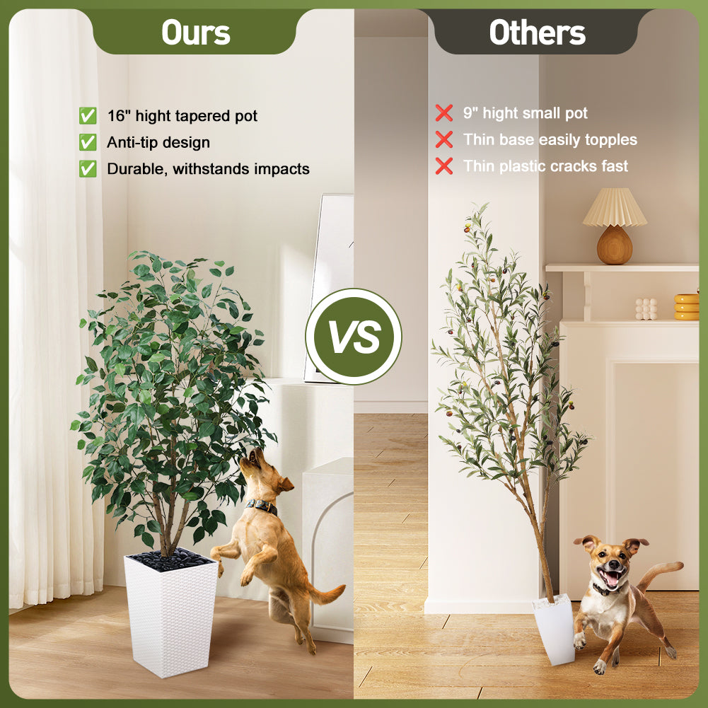 VeriNatural 5/6FT Natural Trunk Artificial Ficus Tree UV Resistant with Black/White Taper Planter for Indoor & Outdoor（VN129）
