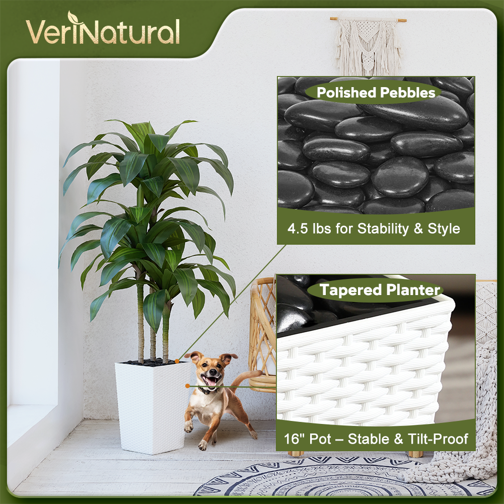 VeriNatural 5/6FT Artificial Dracaena Tree UV Resistant with Black Taper Planter for Indoor & Outdoor  (VN127)