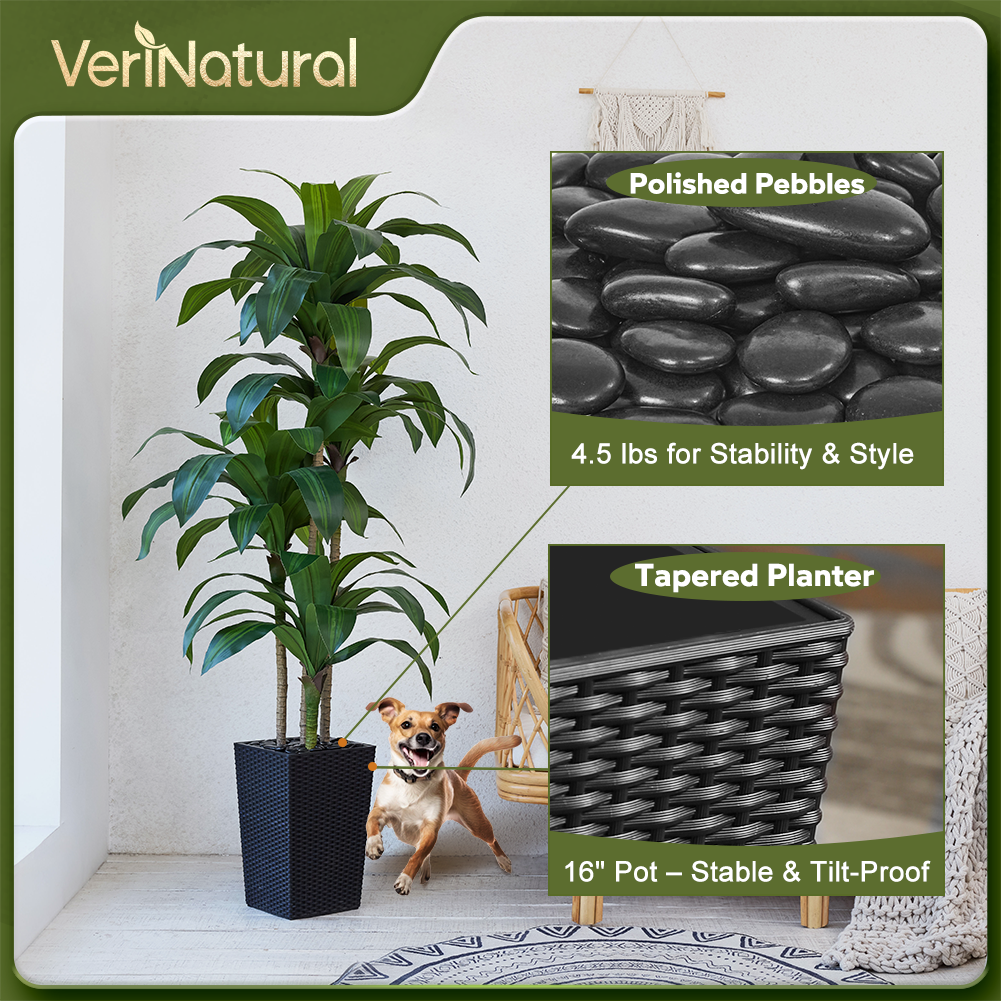VeriNatural 5/6FT Artificial Dracaena Tree UV Resistant with Black Taper Planter for Indoor & Outdoor  (VN127)