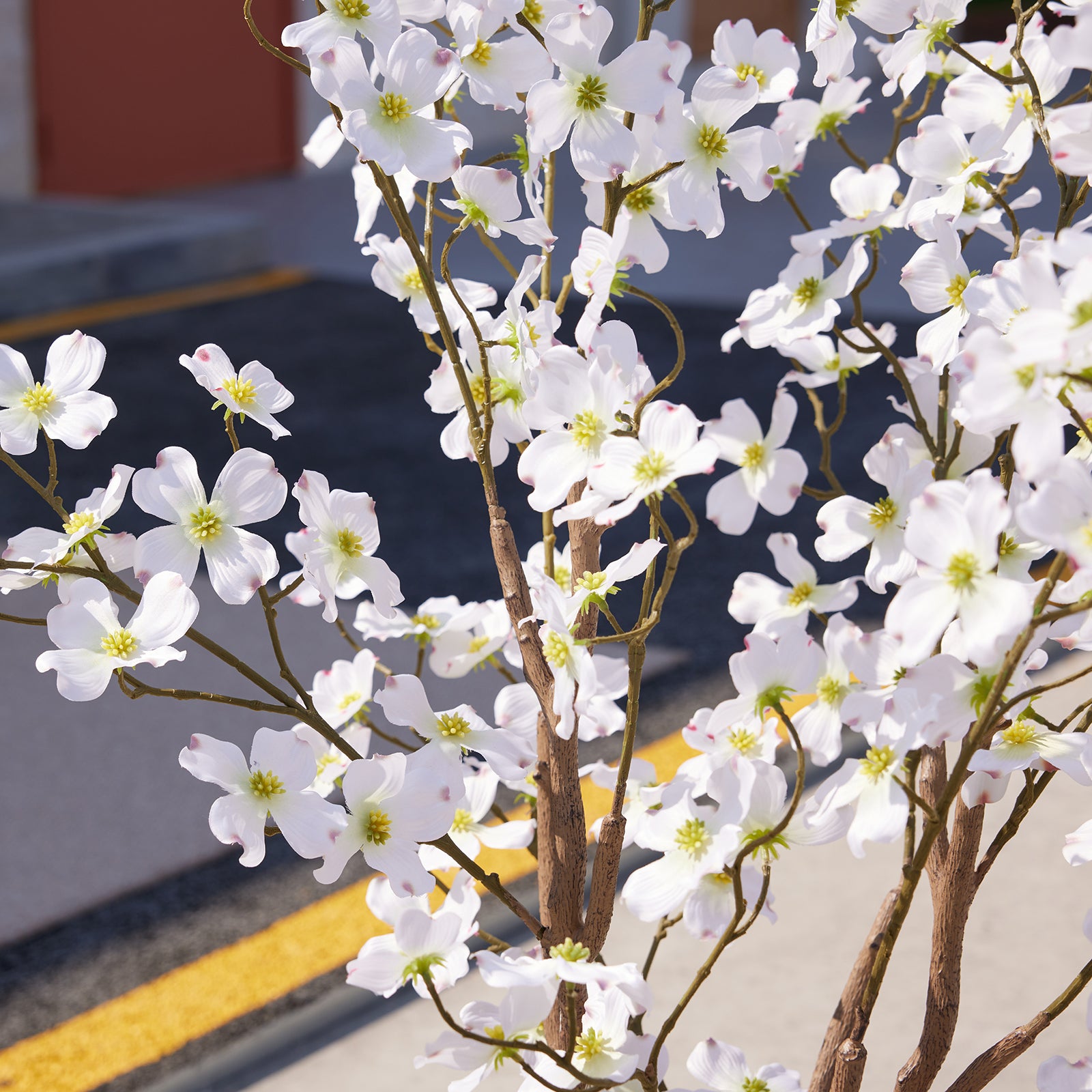 VeriNatural 2-Pack Artificial Dogwood Flower Tree 3/4FT, Faux Silk Flower Trees in Pot for Indoor Decor