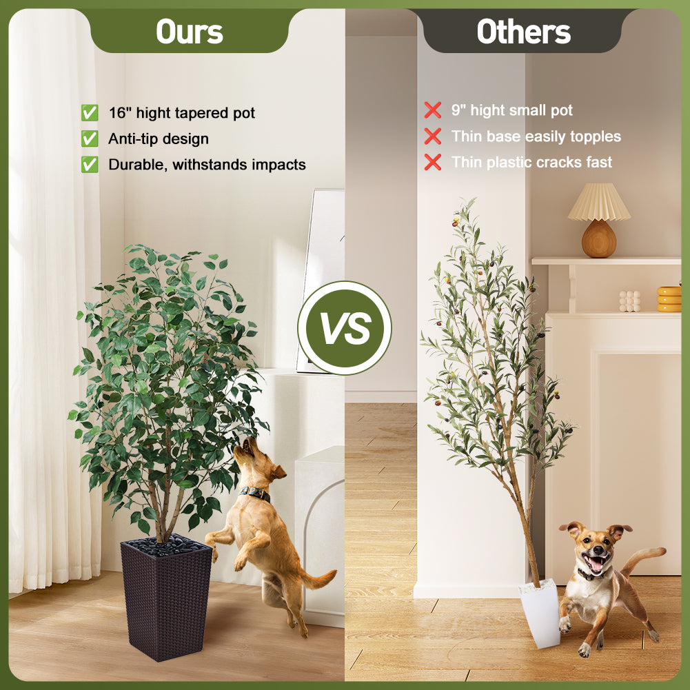 VeriNatural 5/6FT Natural Trunk Artificial Ficus Tree UV Resistant with Black/White Taper Planter for Indoor & Outdoor（VN129）