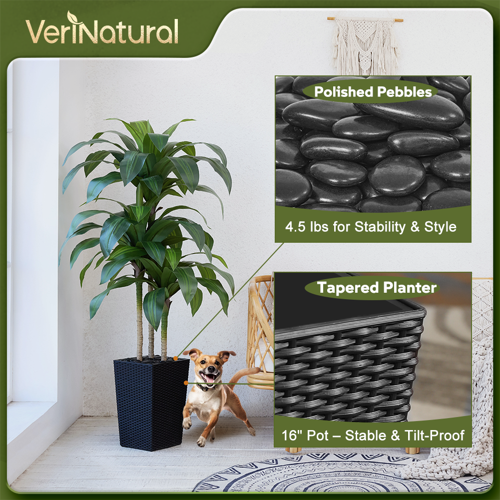 VeriNatural 5/6FT Artificial Dracaena Tree UV Resistant with Black Taper Planter for Indoor & Outdoor  (VN127)