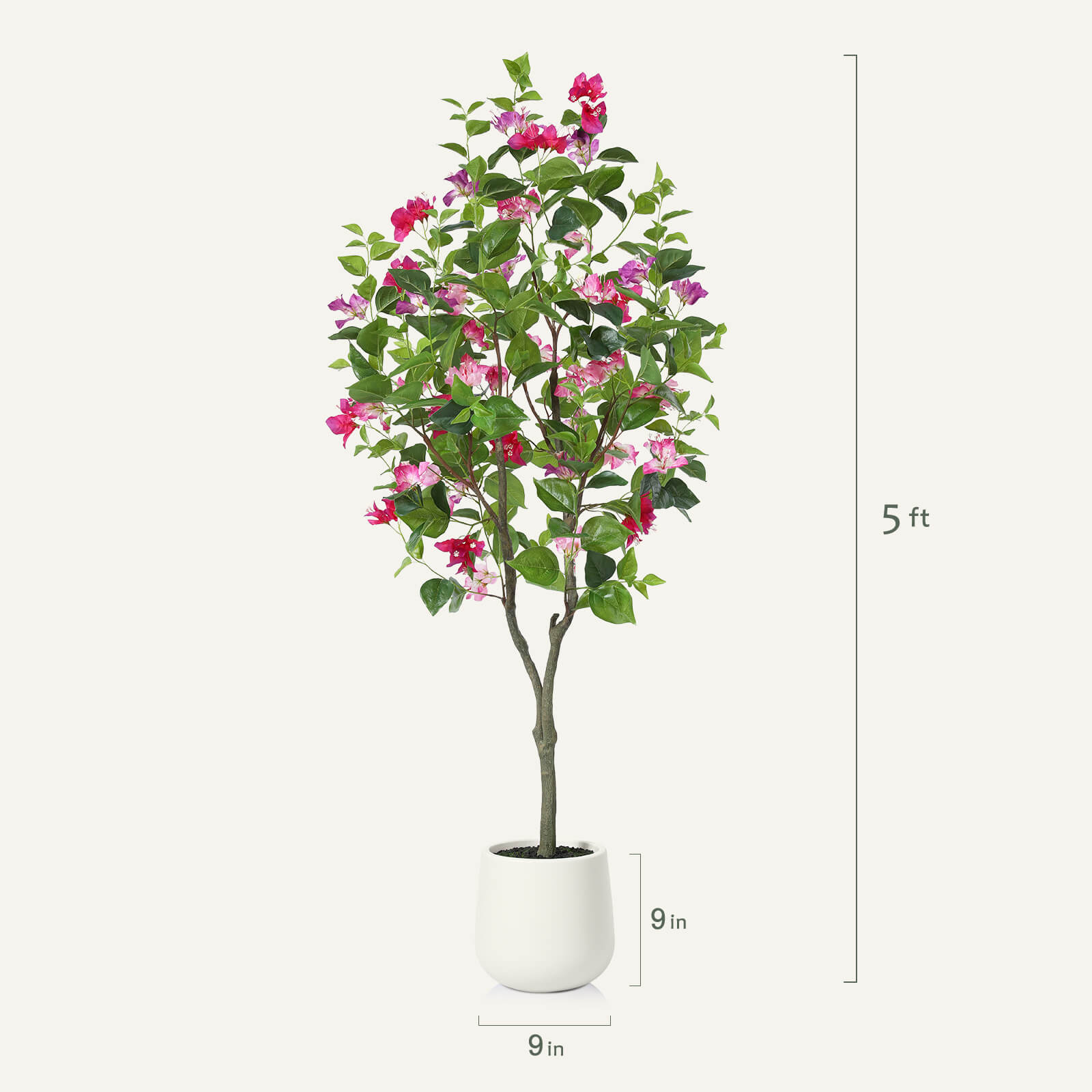 #size_5ft