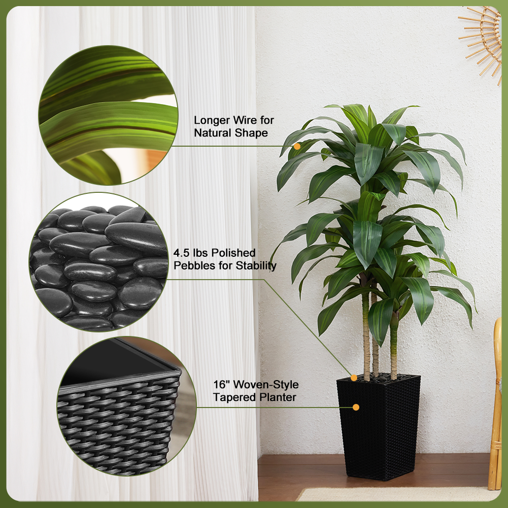 VeriNatural 5/6FT Artificial Dracaena Tree UV Resistant with Black Taper Planter for Indoor & Outdoor  (VN127)