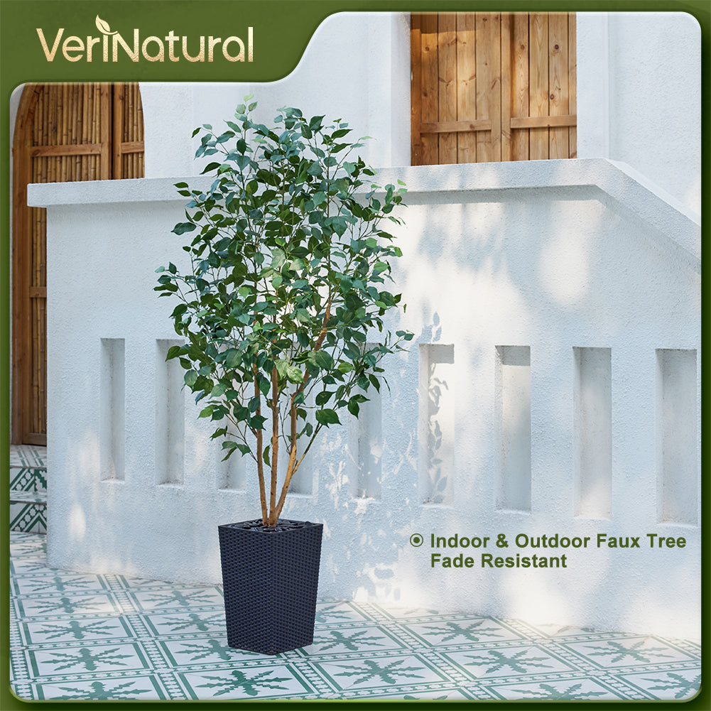VeriNatural 5/6FT Natural Trunk Artificial Ficus Tree UV Resistant with Black/White Taper Planter for Indoor & Outdoor（VN129）