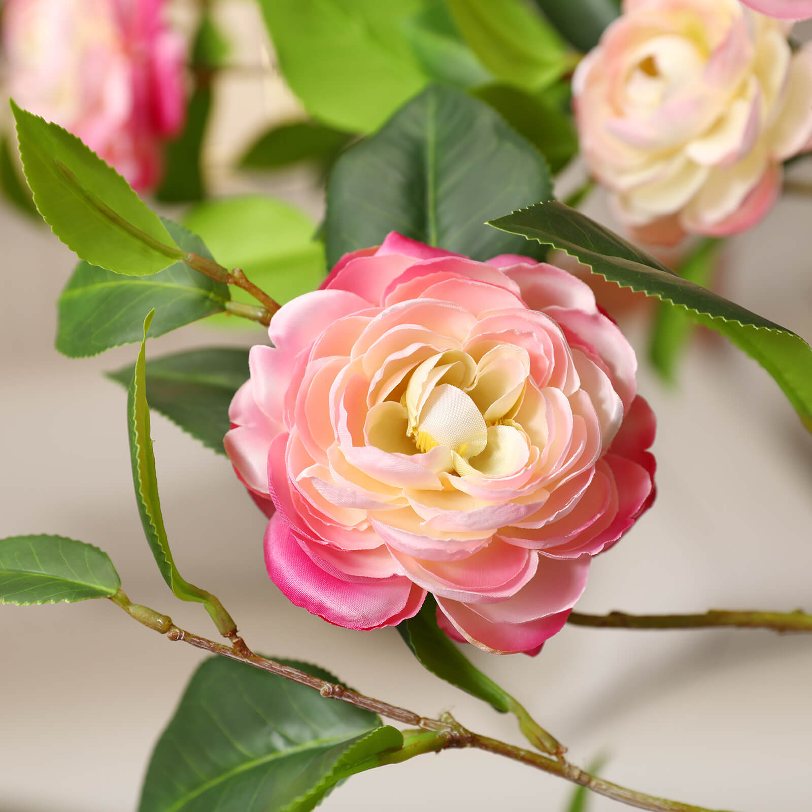 #color_pink