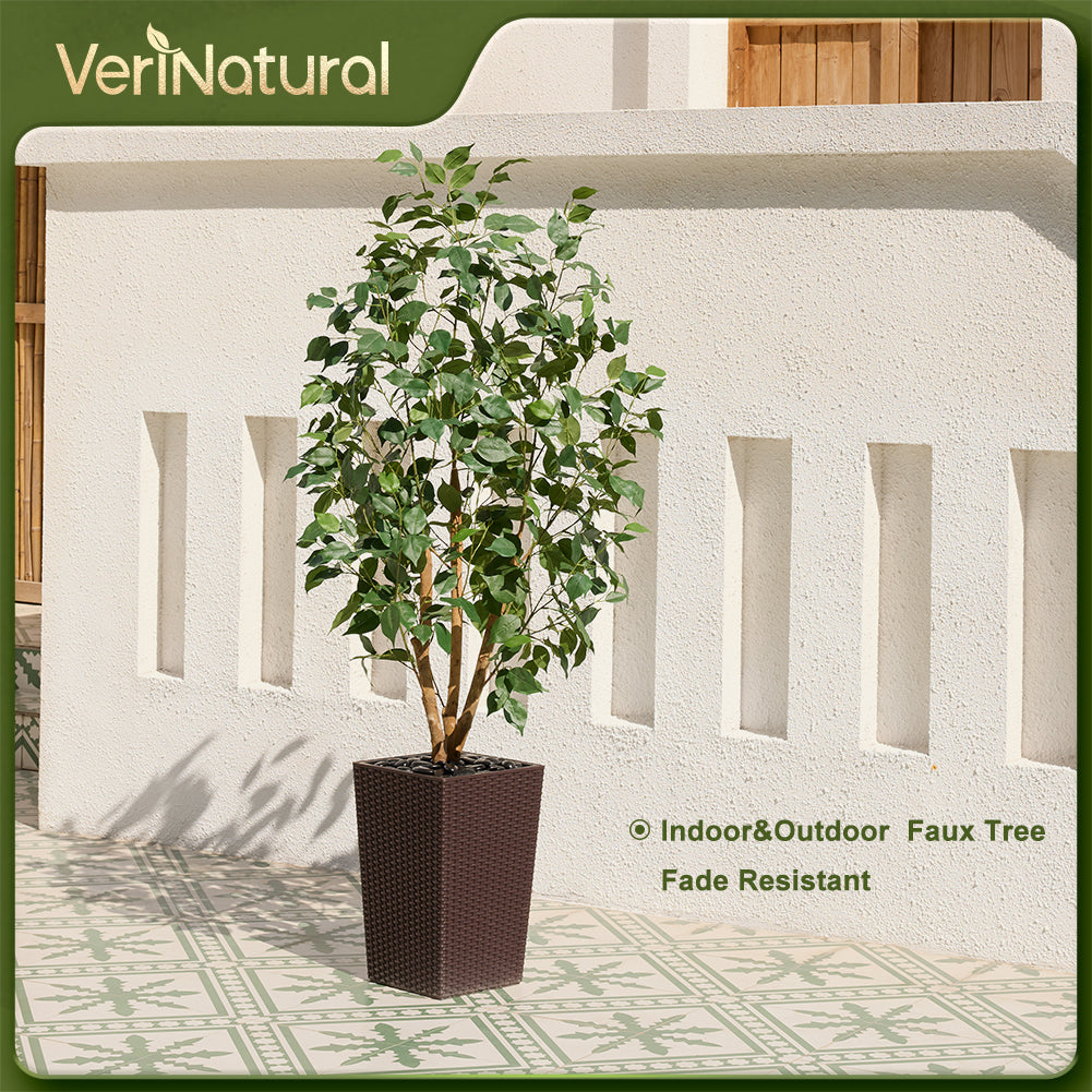 VeriNatural 5/6FT Natural Trunk Artificial Ficus Tree UV Resistant with Black/White Taper Planter for Indoor & Outdoor（VN129）