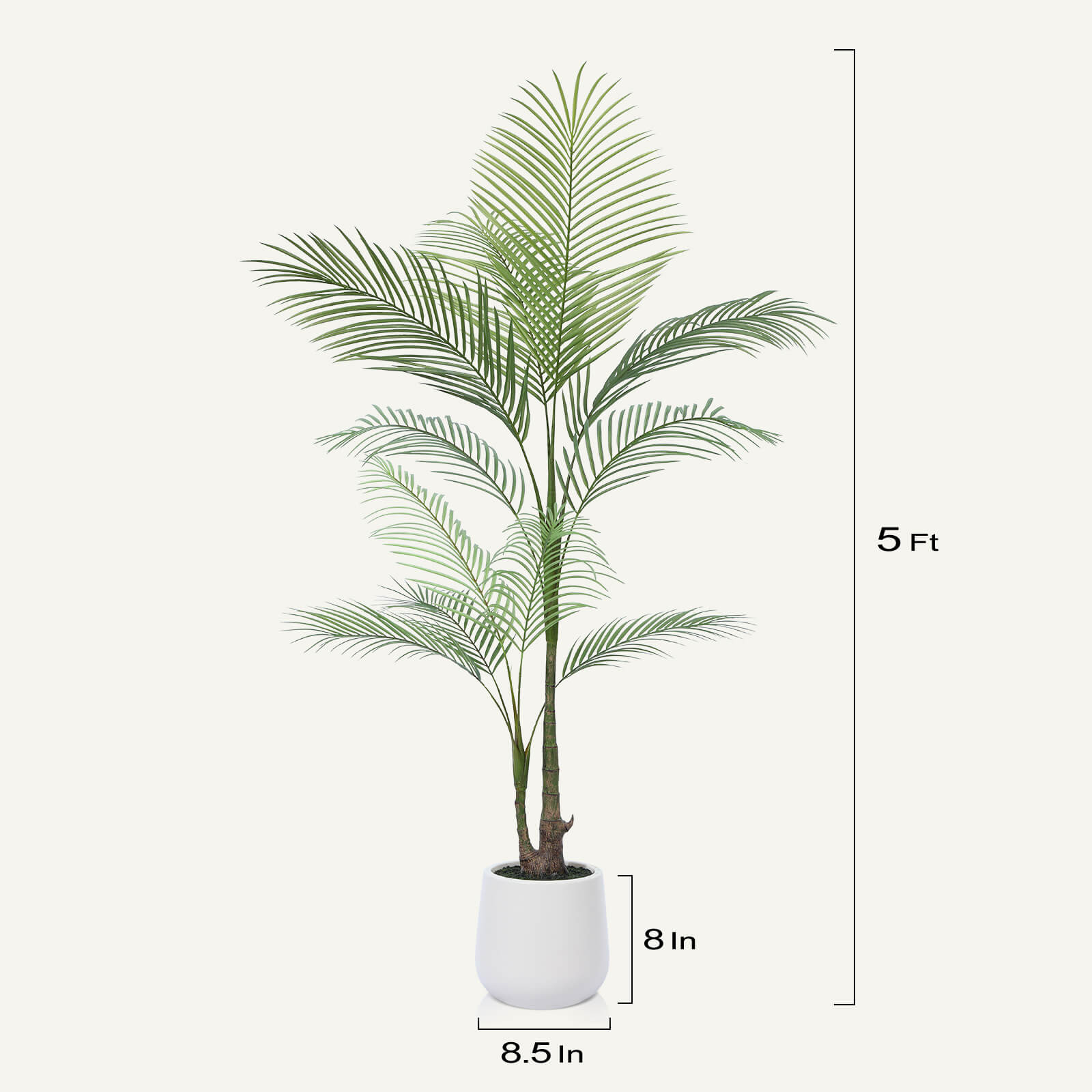 #size_5ft