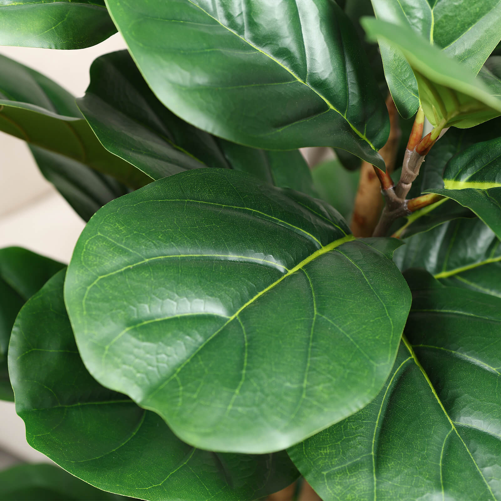 VeriNatural 5/6/7FT Artificial Fiddle-leaf Fig Trees with White Planter for Indoor