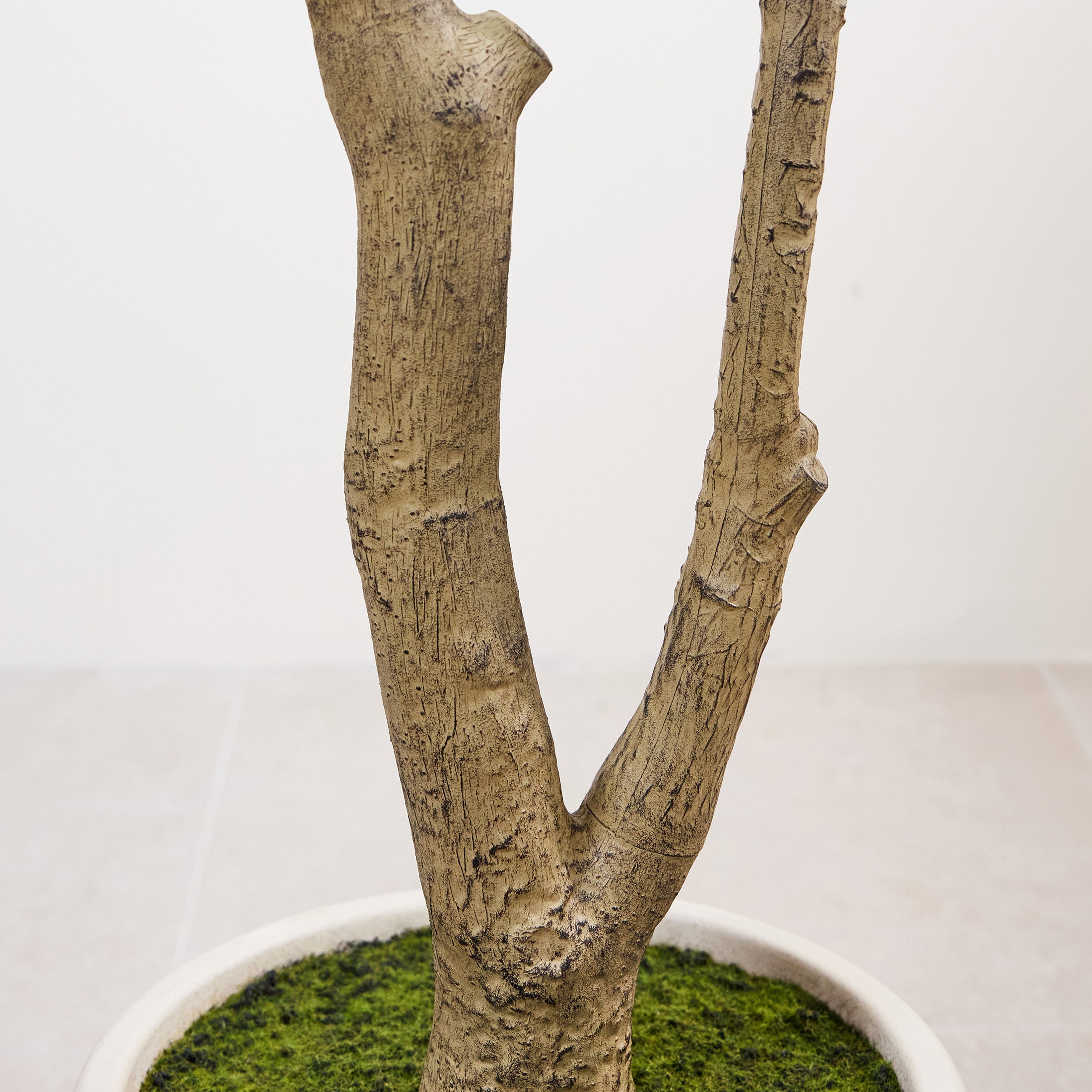 VeriNatural 5/6/7FT Artificial Olive Tree – Realistic Faux Indoor Plant with White Planter, Tall Fake Tree for Home, Office & Living Room Decor(VN256)