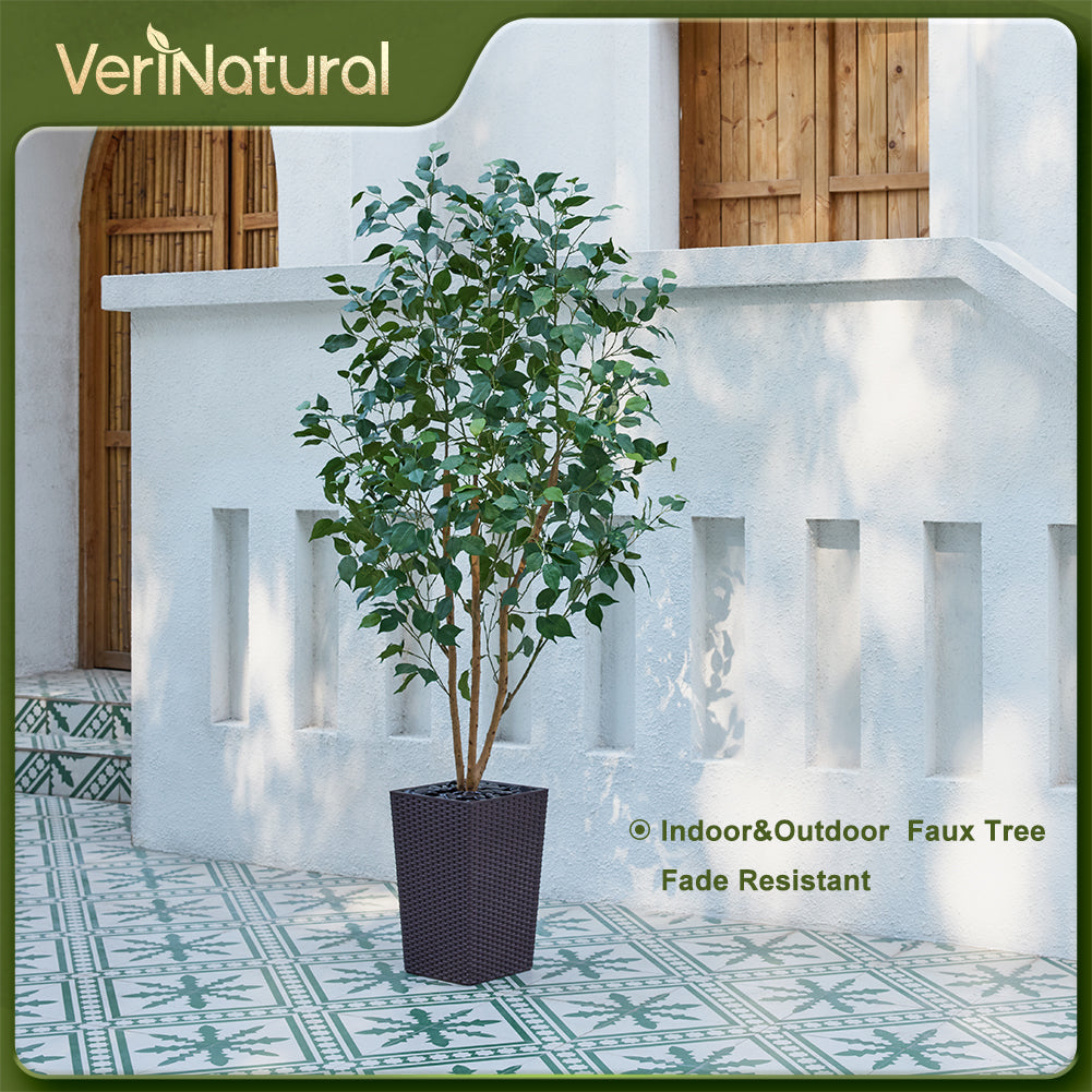 VeriNatural 5/6FT Natural Trunk Artificial Ficus Tree UV Resistant with Black/White Taper Planter for Indoor & Outdoor（VN129）