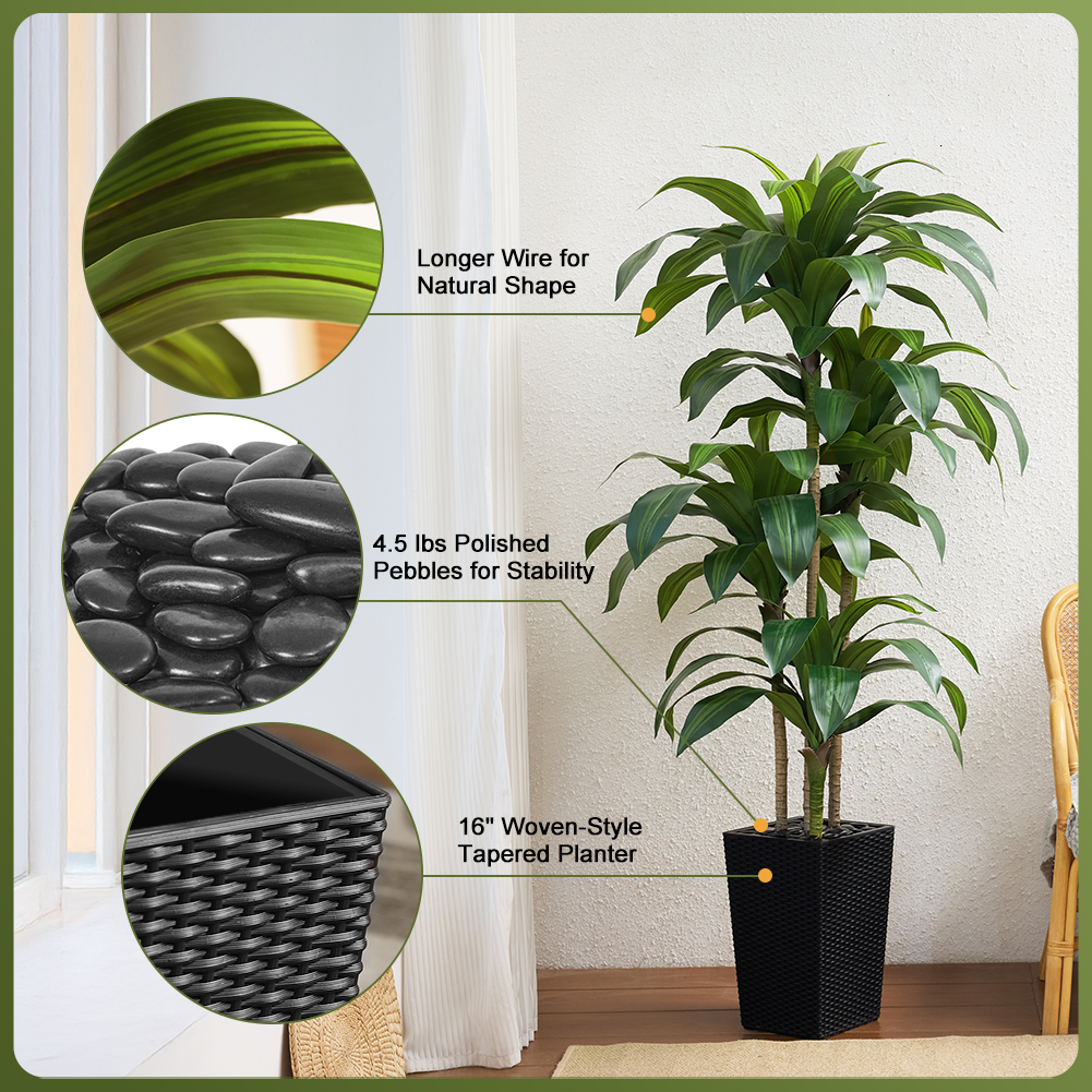 VeriNatural 5/6FT Artificial Dracaena Tree UV Resistant with Black Taper Planter for Indoor & Outdoor  (VN127)