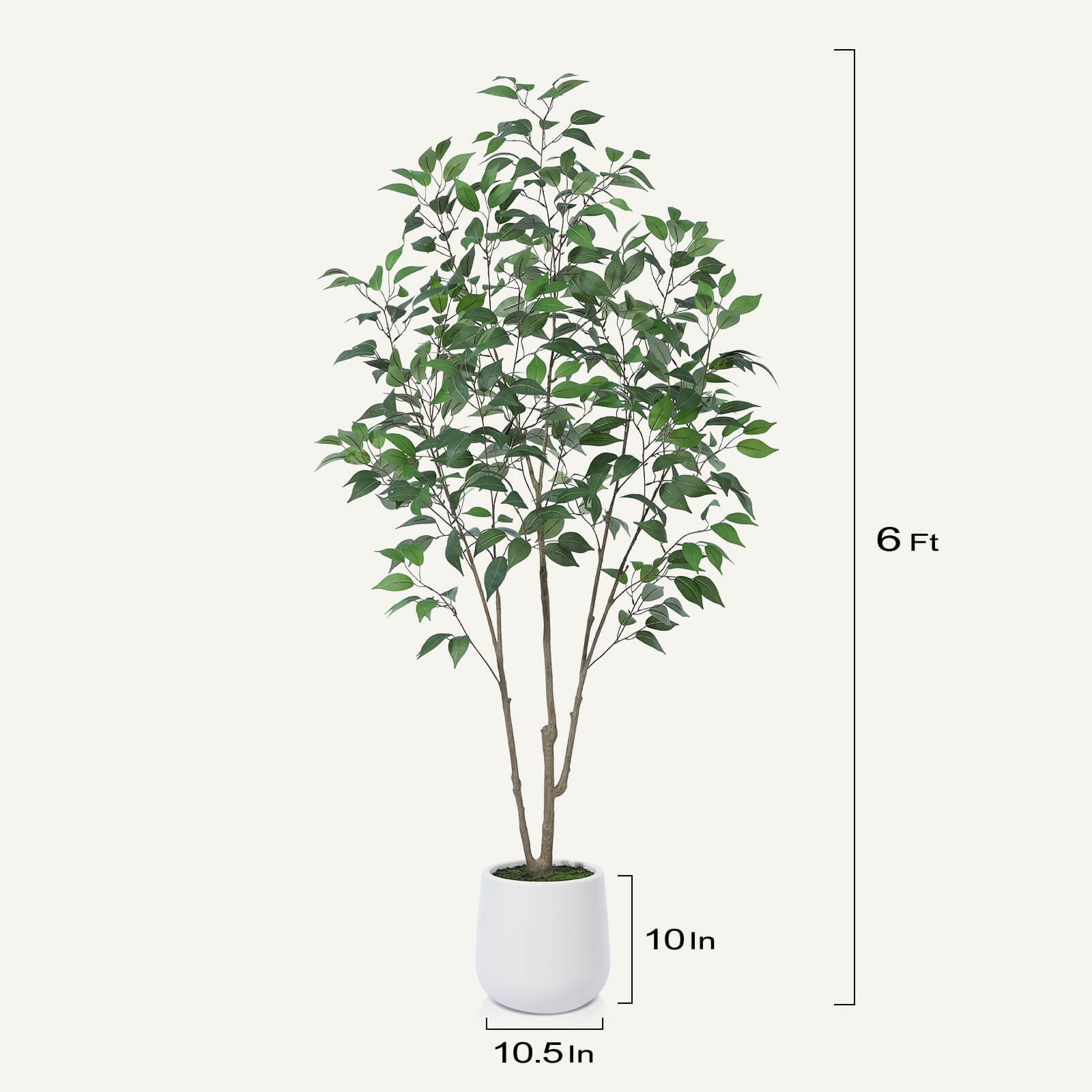 #size_6ft