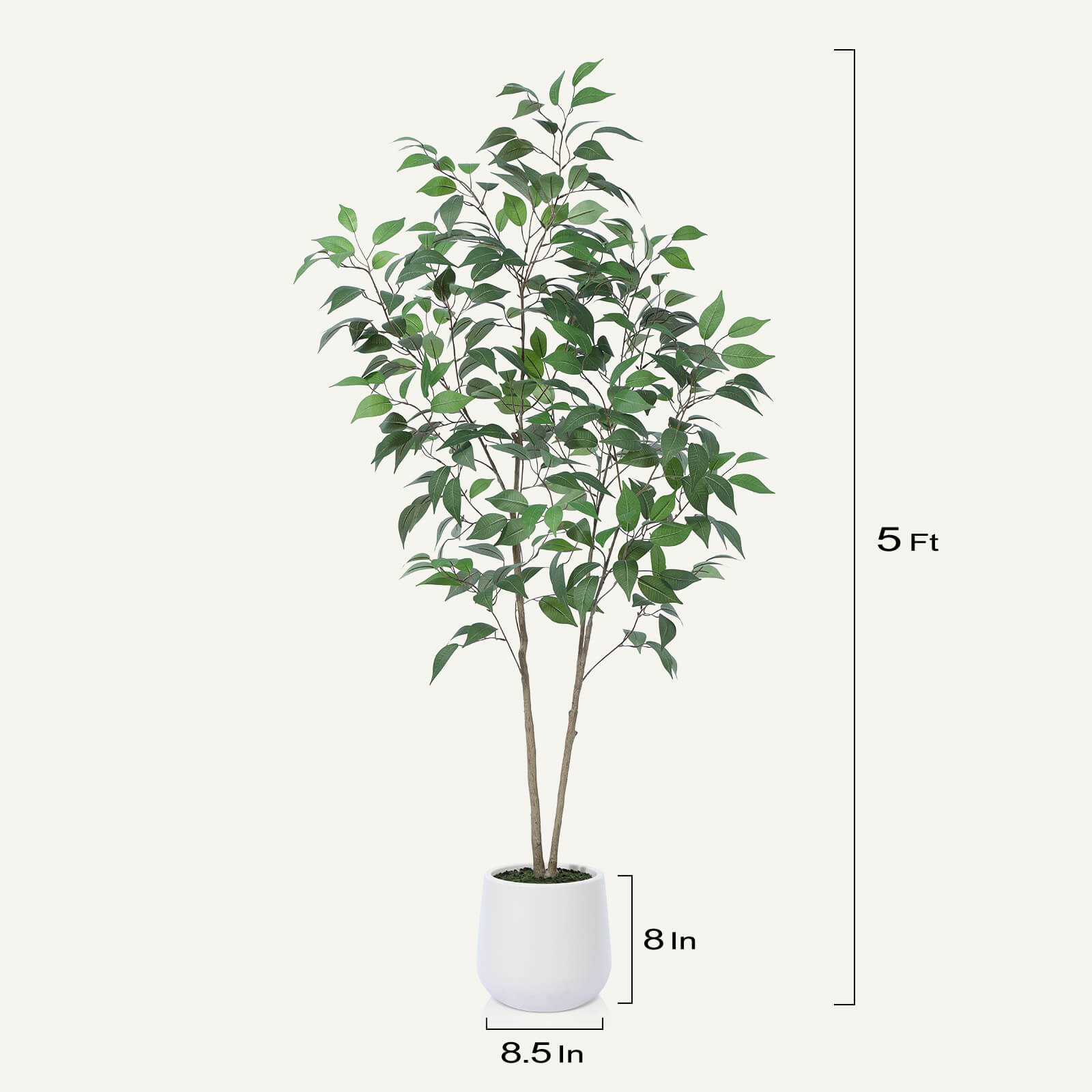 #size_5ft