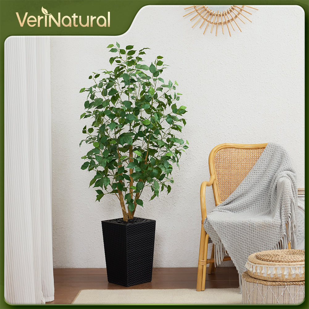 VeriNatural 5/6FT Natural Trunk Artificial Ficus Tree UV Resistant with Black/White Taper Planter for Indoor & Outdoor（VN129）
