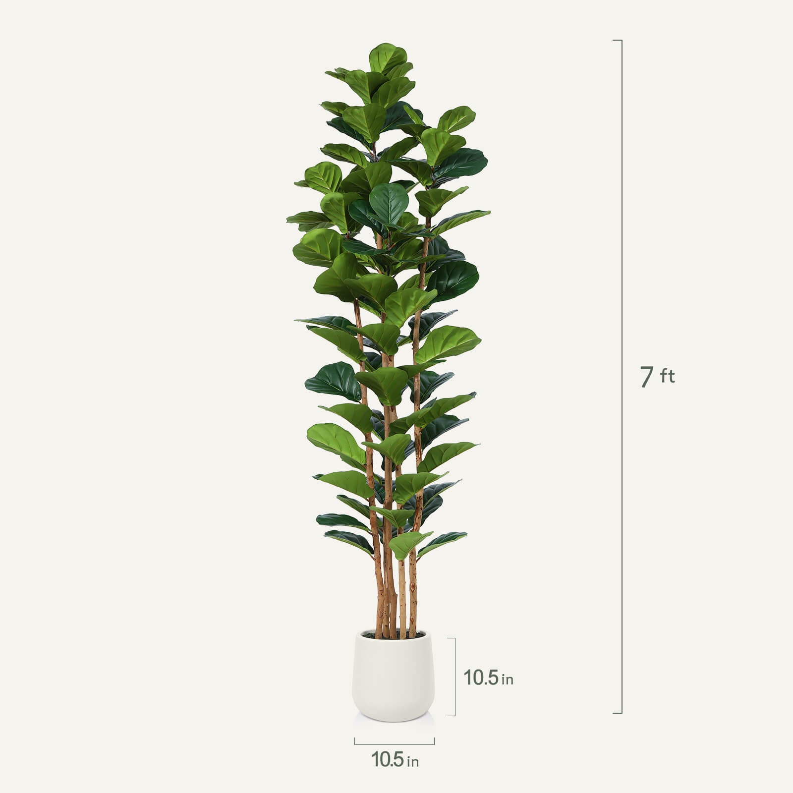#size_7ft