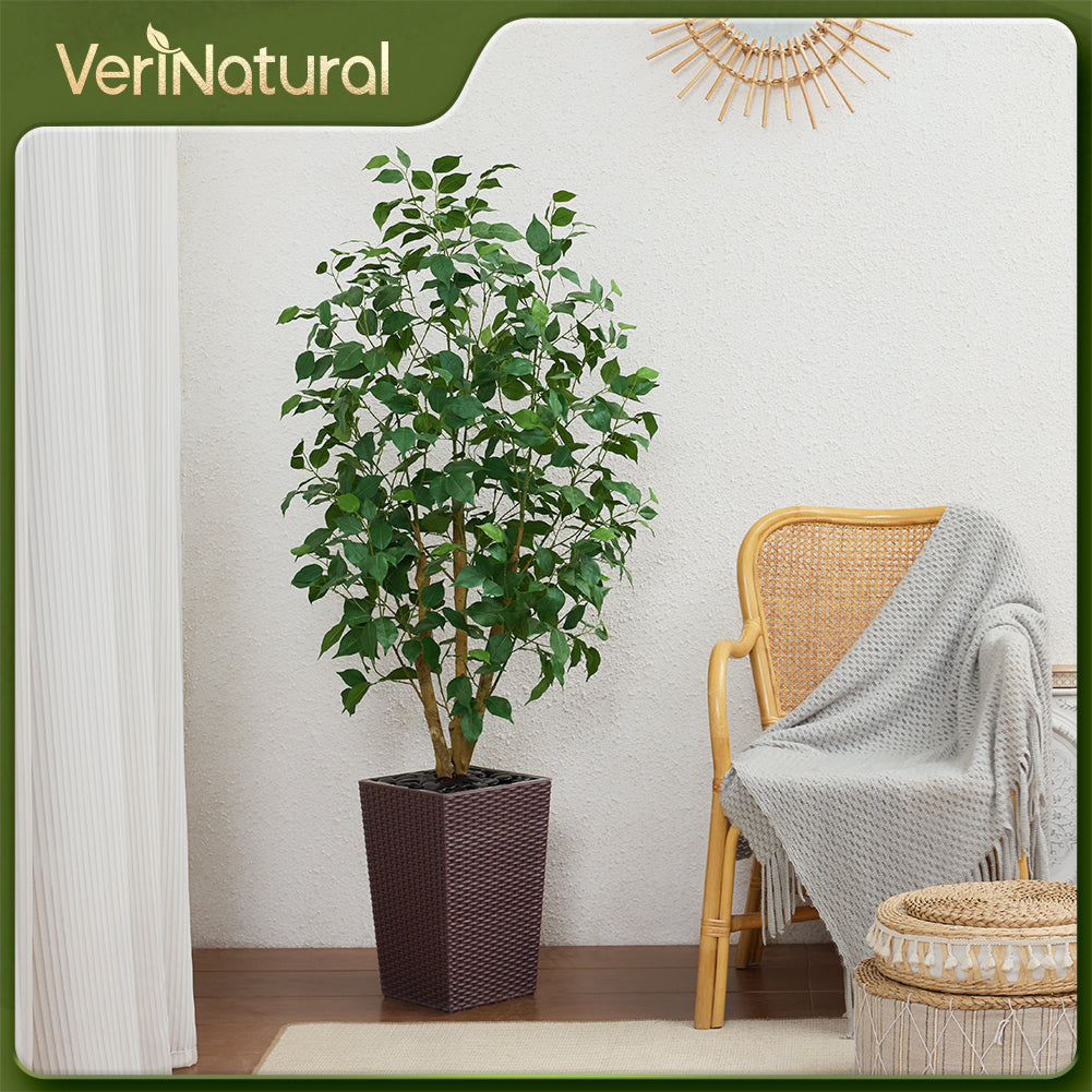 VeriNatural 5/6FT Natural Trunk Artificial Ficus Tree UV Resistant with Black/White Taper Planter for Indoor & Outdoor（VN129）