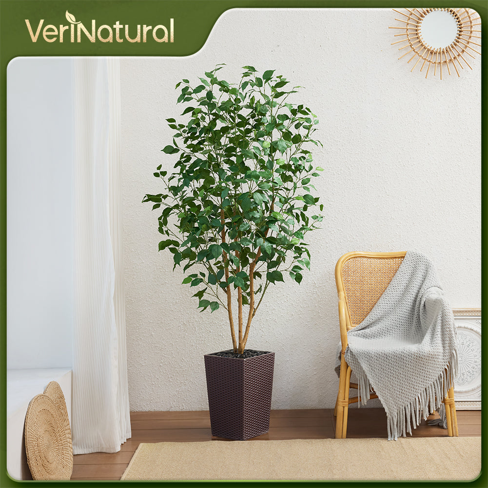 VeriNatural 5/6FT Natural Trunk Artificial Ficus Tree UV Resistant with Black/White Taper Planter for Indoor & Outdoor（VN129）