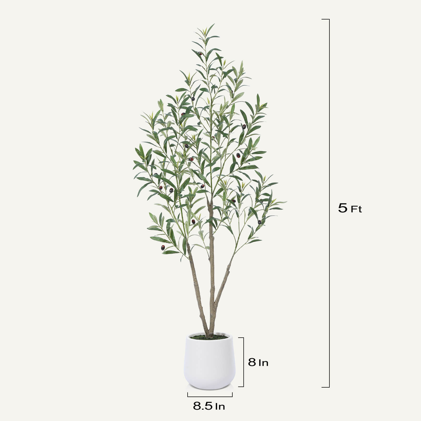 #size_5ft