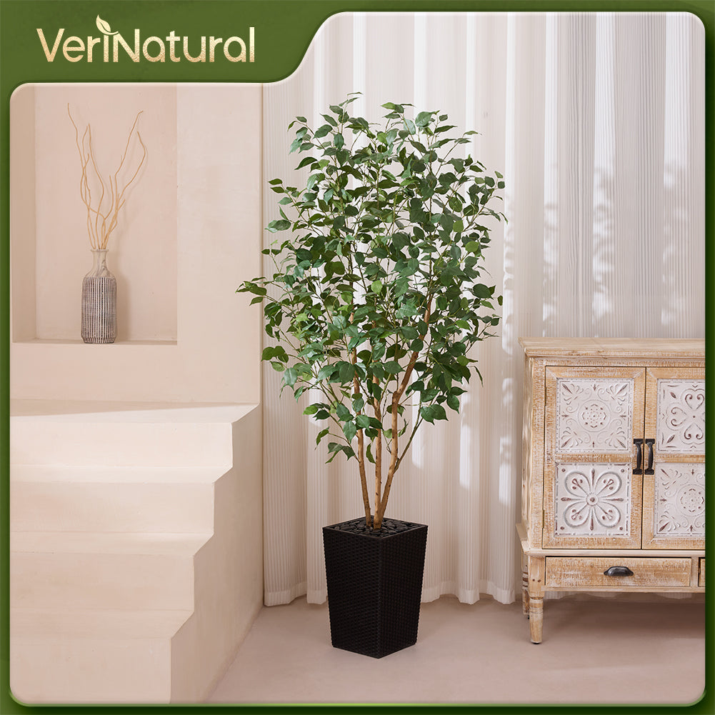 VeriNatural 5/6FT Natural Trunk Artificial Ficus Tree UV Resistant with Black/White Taper Planter for Indoor & Outdoor（VN129）