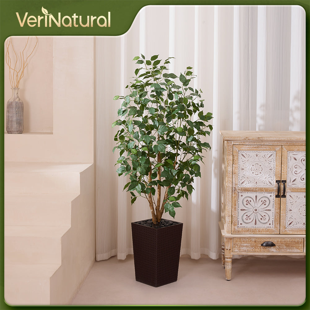 VeriNatural 5/6FT Natural Trunk Artificial Ficus Tree UV Resistant with Black/White Taper Planter for Indoor & Outdoor（VN129）