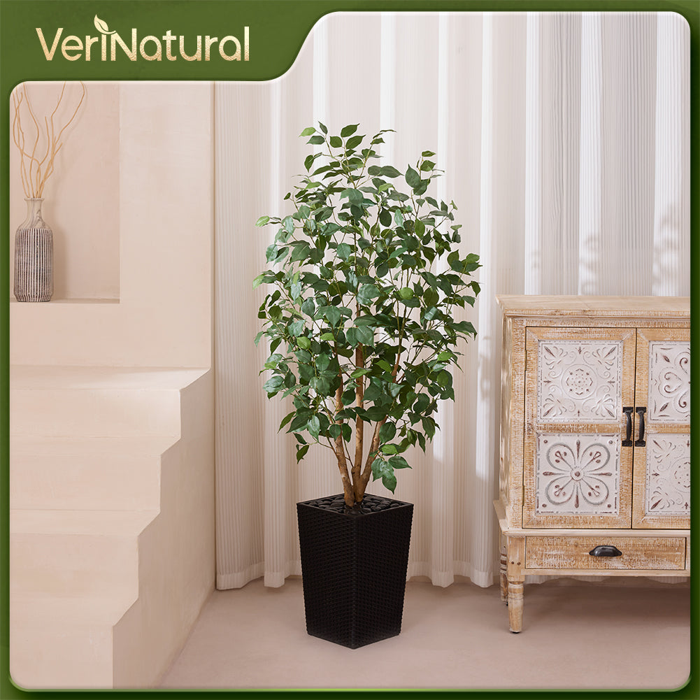 VeriNatural 5/6FT Natural Trunk Artificial Ficus Tree UV Resistant with Black/White Taper Planter for Indoor & Outdoor（VN129）