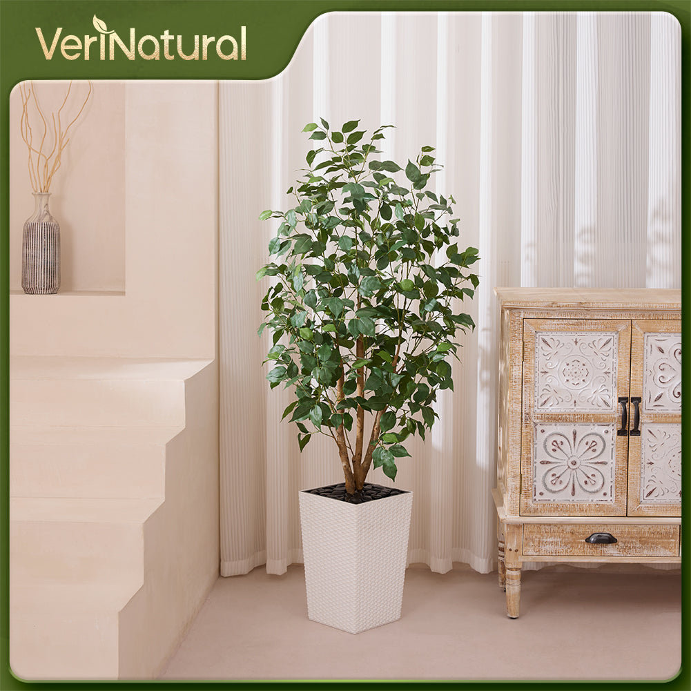 VeriNatural 5/6FT Natural Trunk Artificial Ficus Tree UV Resistant with Black/White Taper Planter for Indoor & Outdoor（VN129）