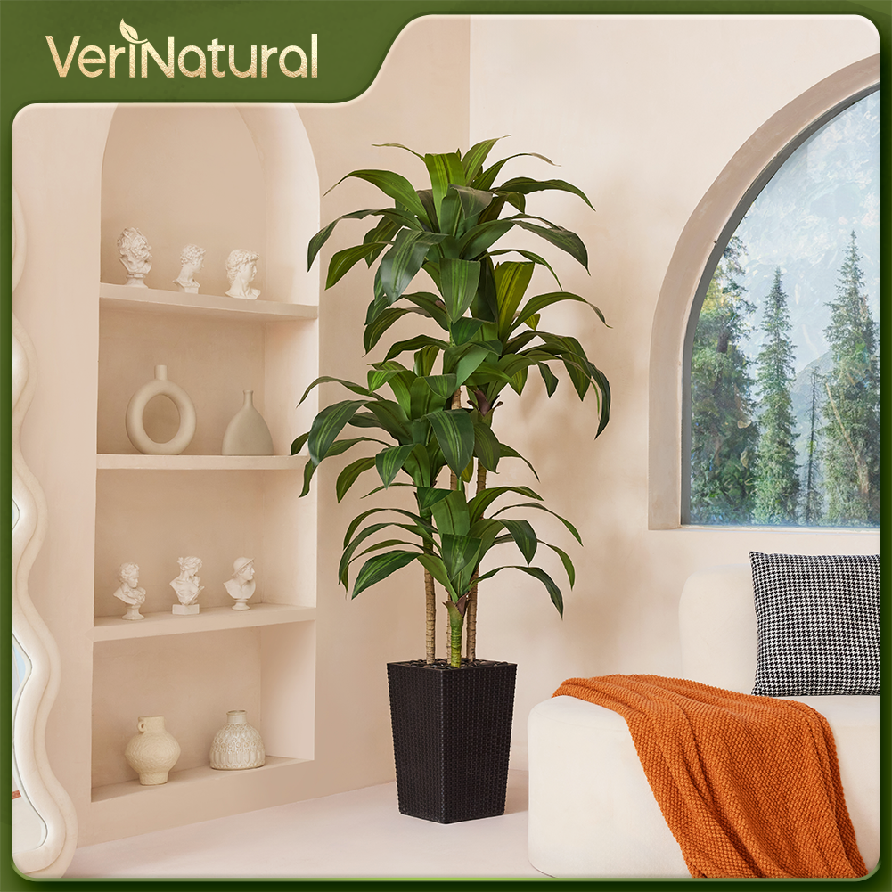 VeriNatural 5/6FT Artificial Dracaena Tree UV Resistant with Black Taper Planter for Indoor & Outdoor  (VN127)