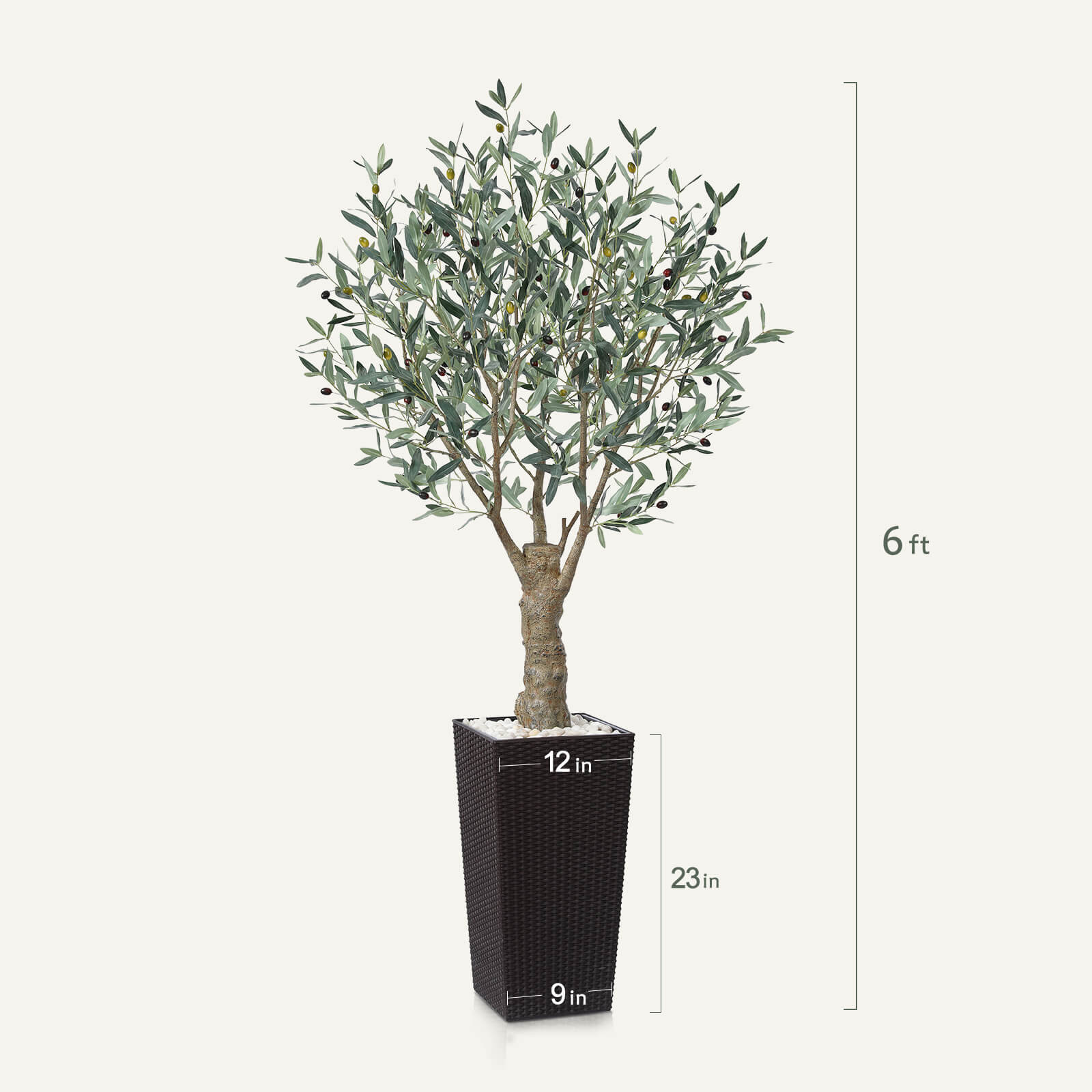 #size_6ft, #color_brown