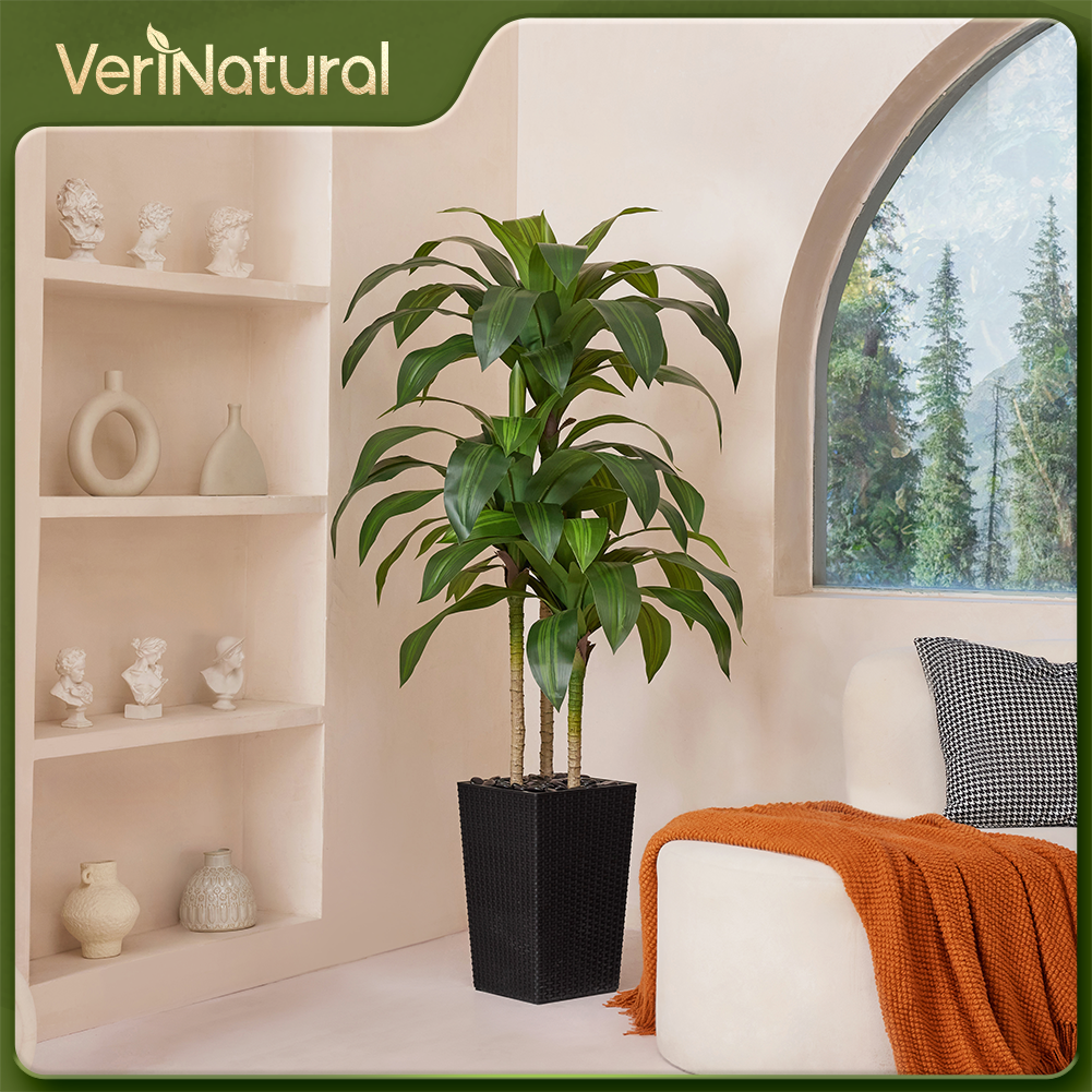 VeriNatural 5/6FT Artificial Dracaena Tree UV Resistant with Black Taper Planter for Indoor & Outdoor  (VN127)