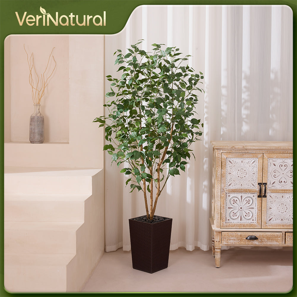 VeriNatural 5/6FT Natural Trunk Artificial Ficus Tree UV Resistant with Black/White Taper Planter for Indoor & Outdoor（VN129）