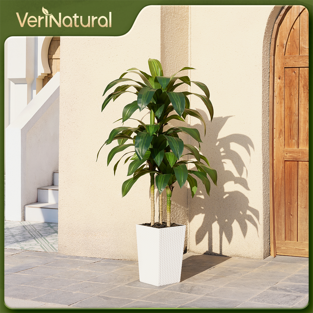 VeriNatural 5/6FT Artificial Dracaena Tree UV Resistant with Black Taper Planter for Indoor & Outdoor  (VN127)