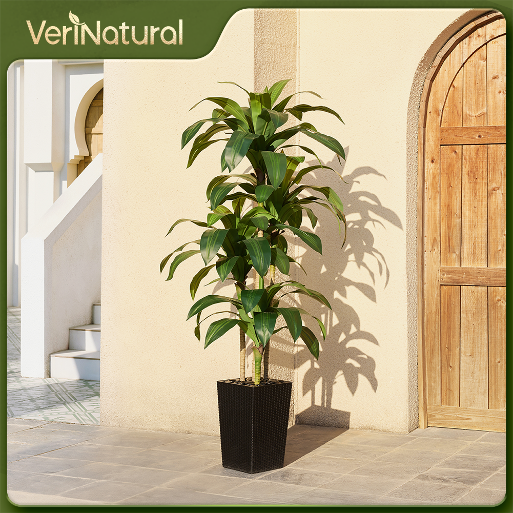 VeriNatural 5/6FT Artificial Dracaena Tree UV Resistant with Black Taper Planter for Indoor & Outdoor  (VN127)
