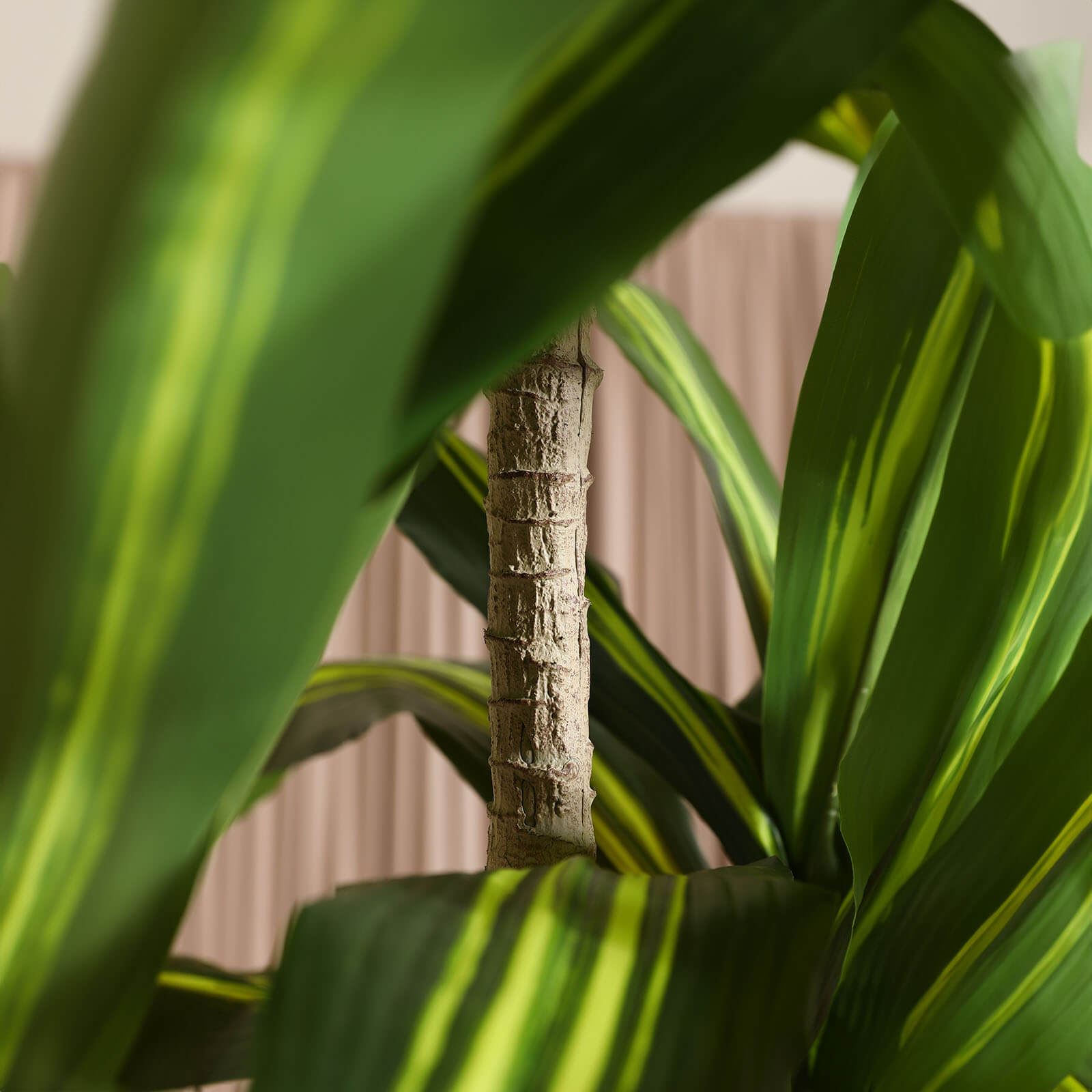 VeriNatural 7FT Artificial Dracaena with Gray Oval Planter for Indoor & Outdoor