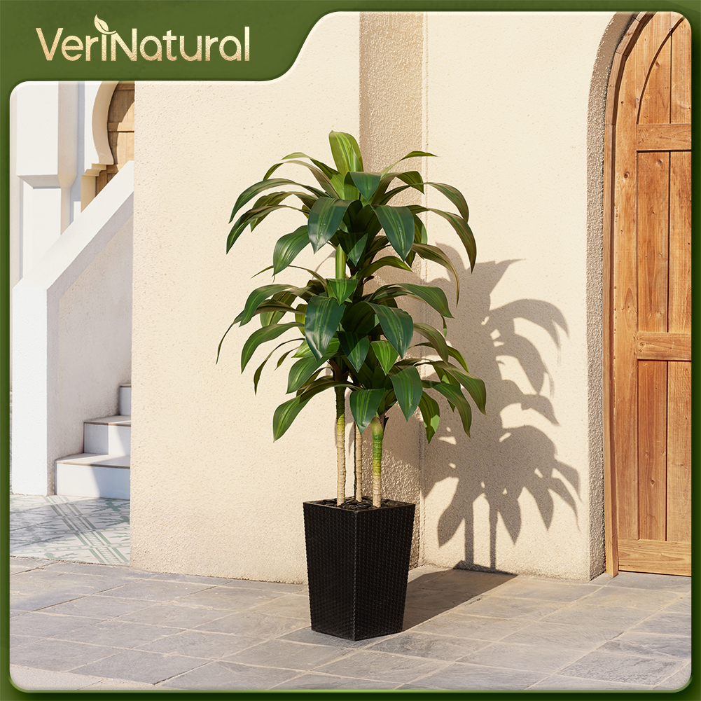 VeriNatural 5/6FT Artificial Dracaena Tree UV Resistant with Black Taper Planter for Indoor & Outdoor  (VN127)