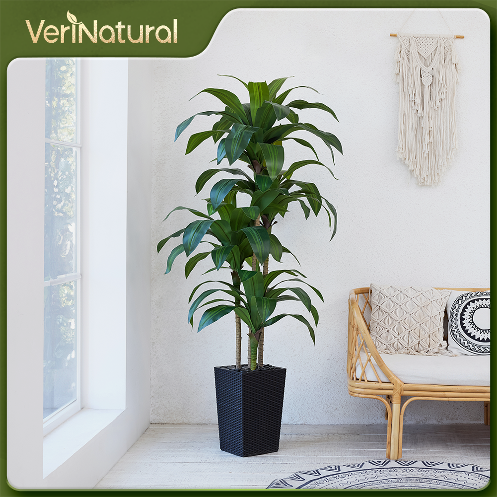 VeriNatural 5/6FT Artificial Dracaena Tree UV Resistant with Black Taper Planter for Indoor & Outdoor  (VN127)