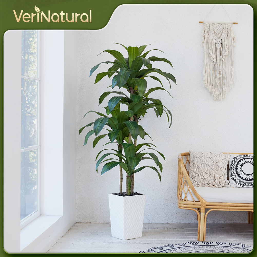 VeriNatural 5/6FT Artificial Dracaena Tree UV Resistant with Black Taper Planter for Indoor & Outdoor  (VN127)