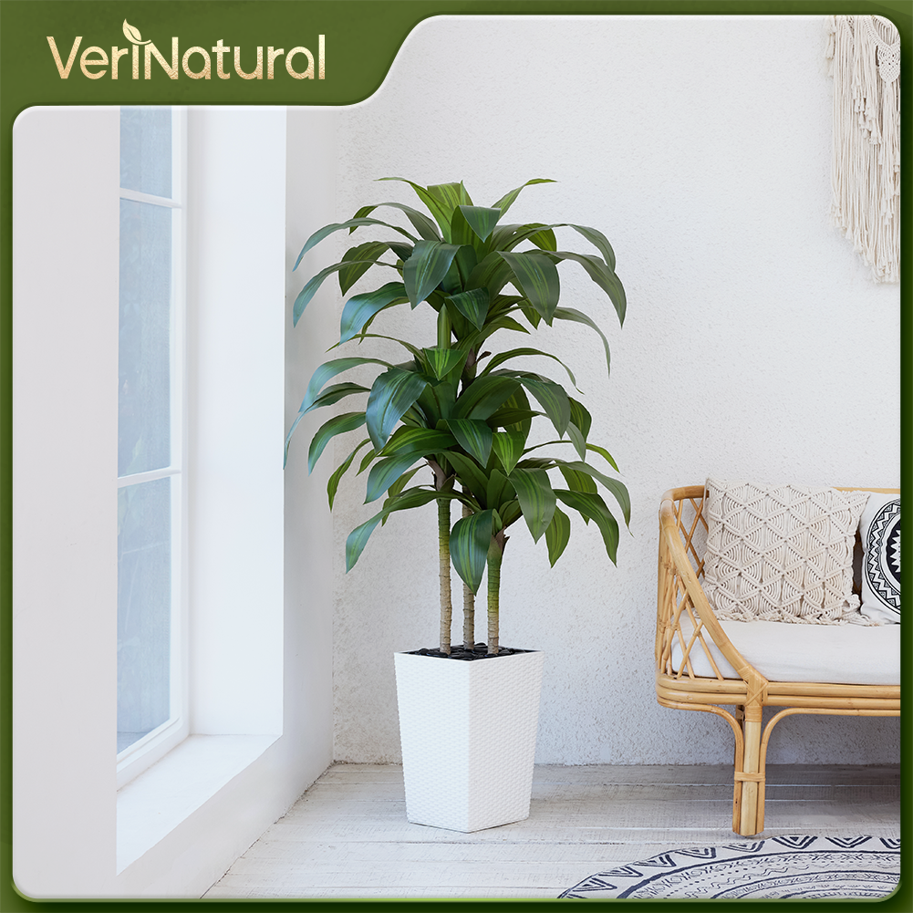 VeriNatural 5/6FT Artificial Dracaena Tree UV Resistant with Black Taper Planter for Indoor & Outdoor  (VN127)