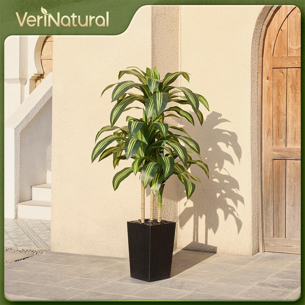 VeriNatural 5/6FT Artificial Dracaena Tree UV Resistant with Black Taper Planter for Indoor & Outdoor (VN127)