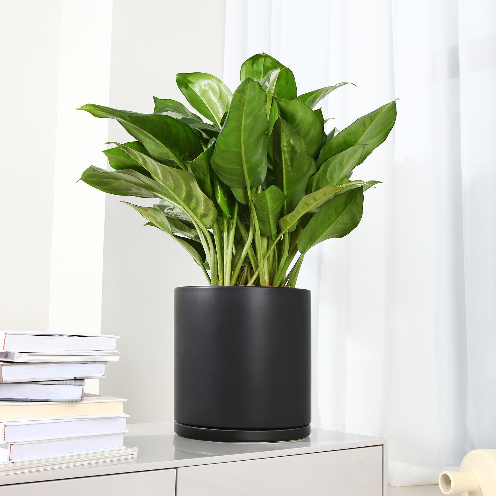VeriNatural Modern Ceramic Planter with Drainage & Saucer | 10/12 Inch | Black & White Matte Frosted