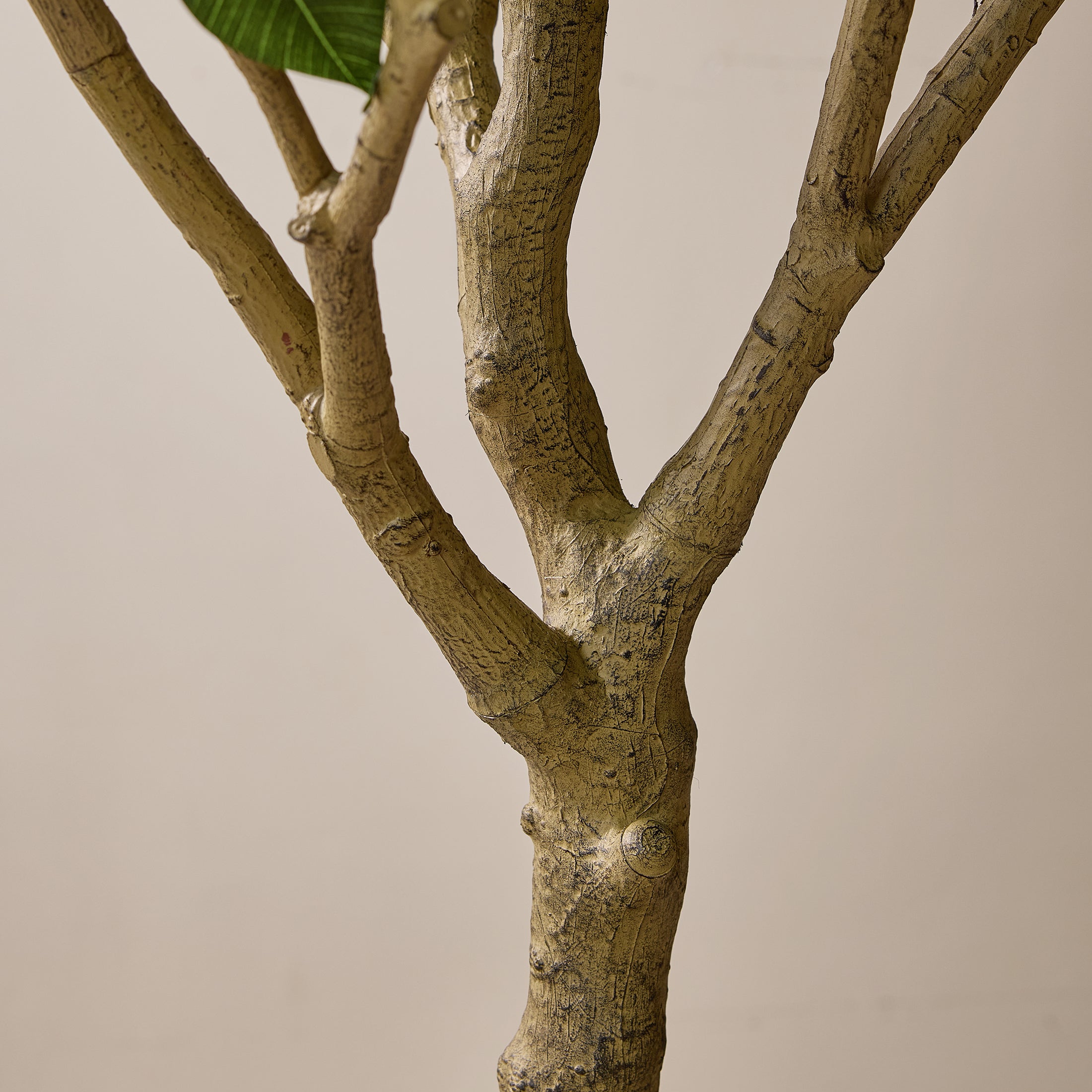 VeriNatural 8/9FT Artificial Ficus Tree with Planter | Large Realistic Faux Indoor Tree for Home, Office & Living Room Decor (VN301)