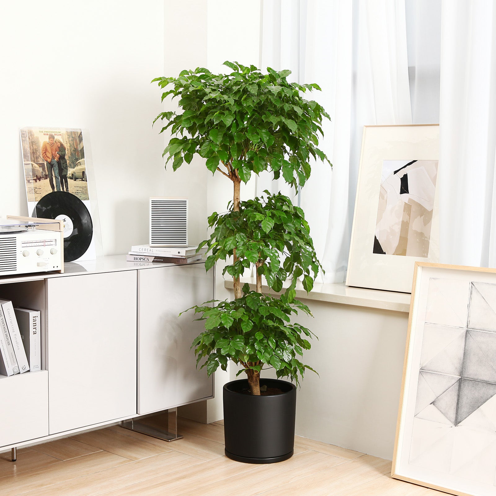VeriNatural Modern Ceramic Planter with Drainage & Saucer | 10/12 Inch | Black & White Matte Frosted