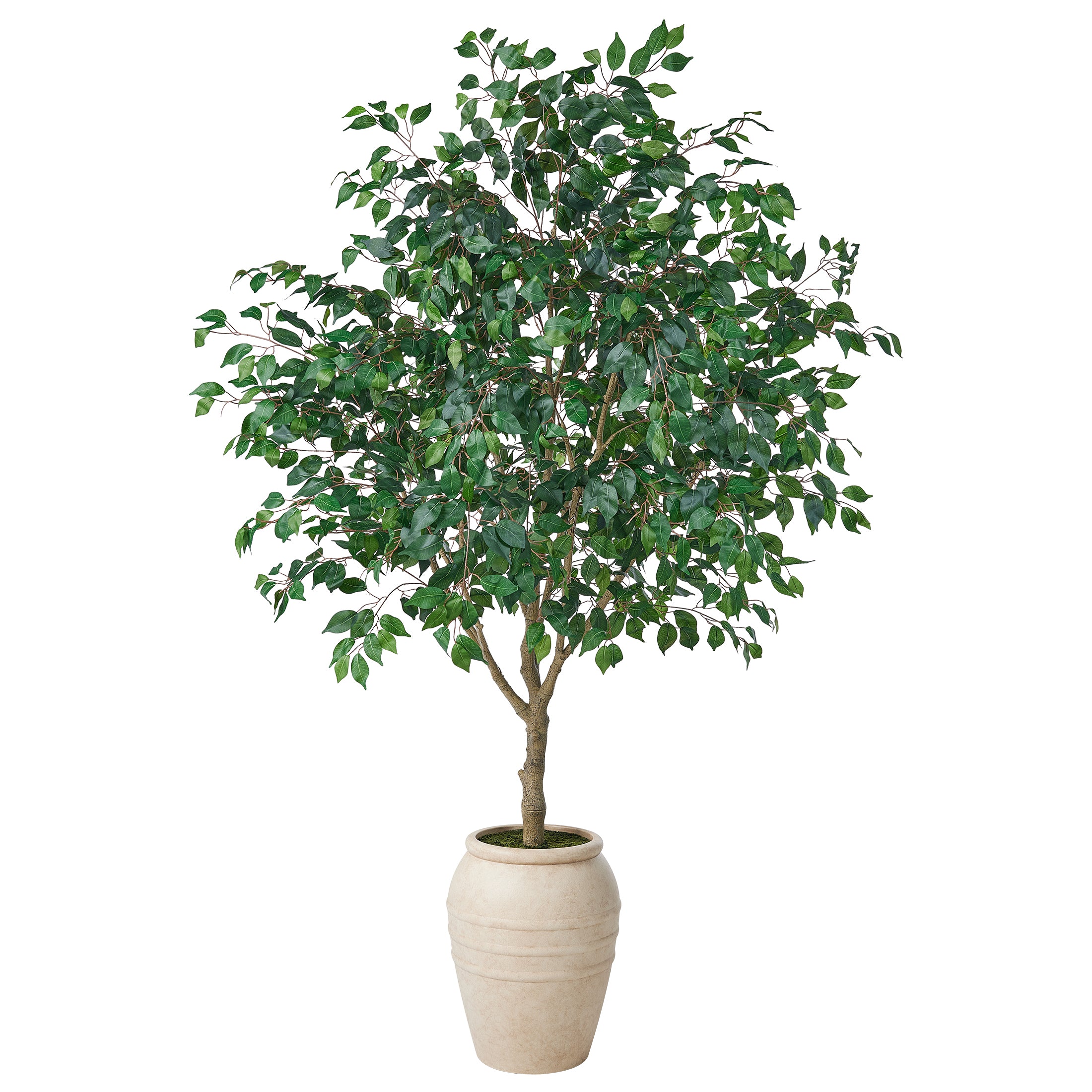 VeriNatural 8/9FT Artificial Ficus Tree with Planter | Large Realistic Faux Indoor Tree for Home, Office & Living Room Decor (VN301)