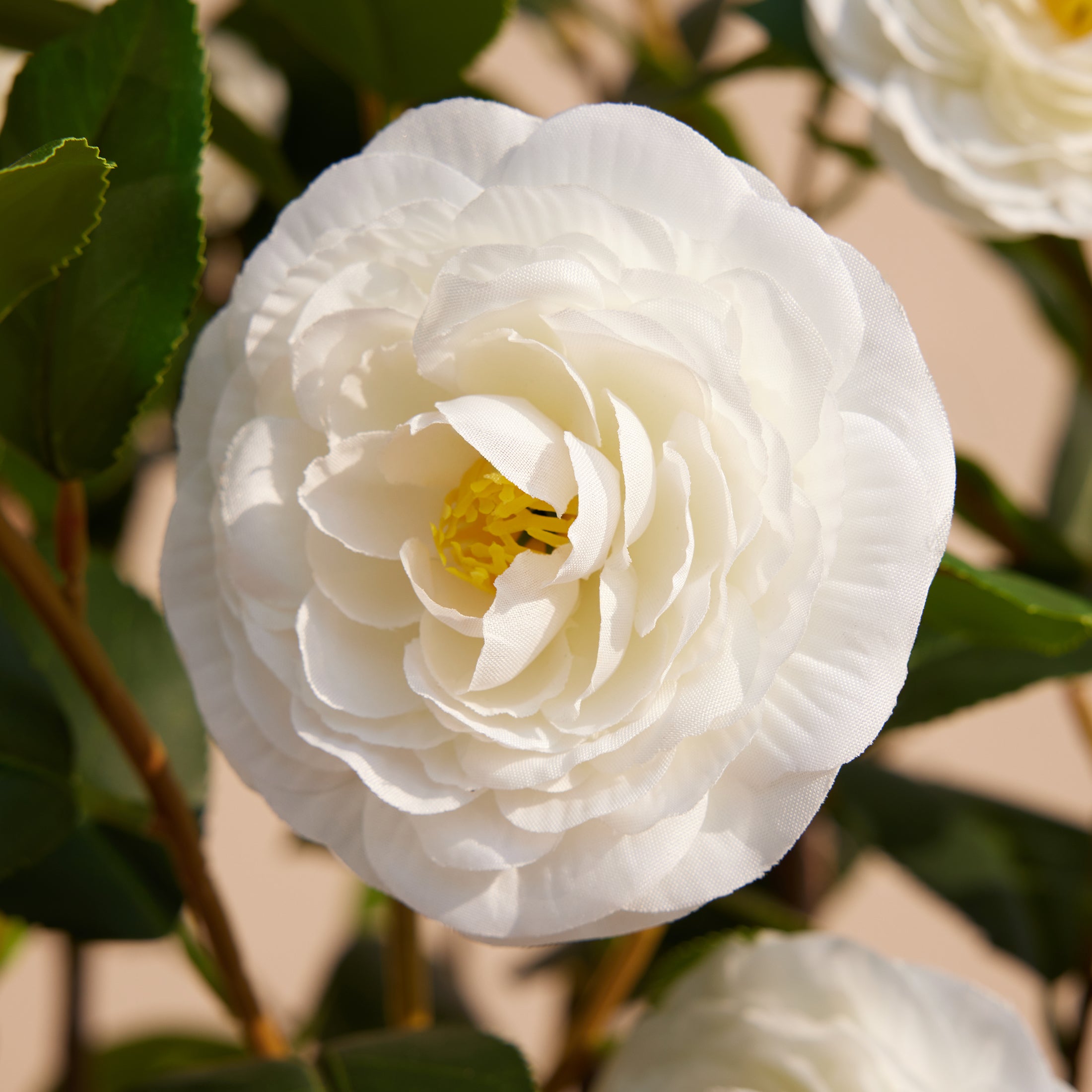 VeriNatural Artificial Camellia Tree – 3 /4ft UV-Resistant Outdoor Sil