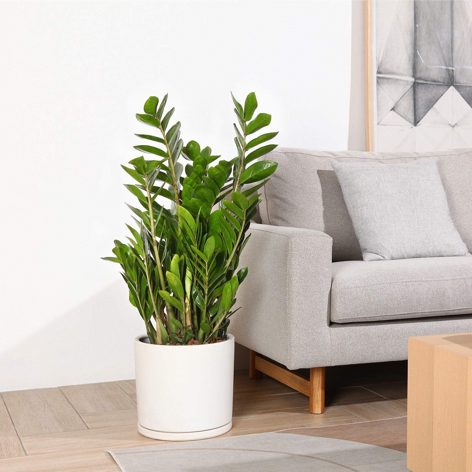VeriNatural Modern Ceramic Planter with Drainage & Saucer | 10/12 Inch | Black & White Matte Frosted