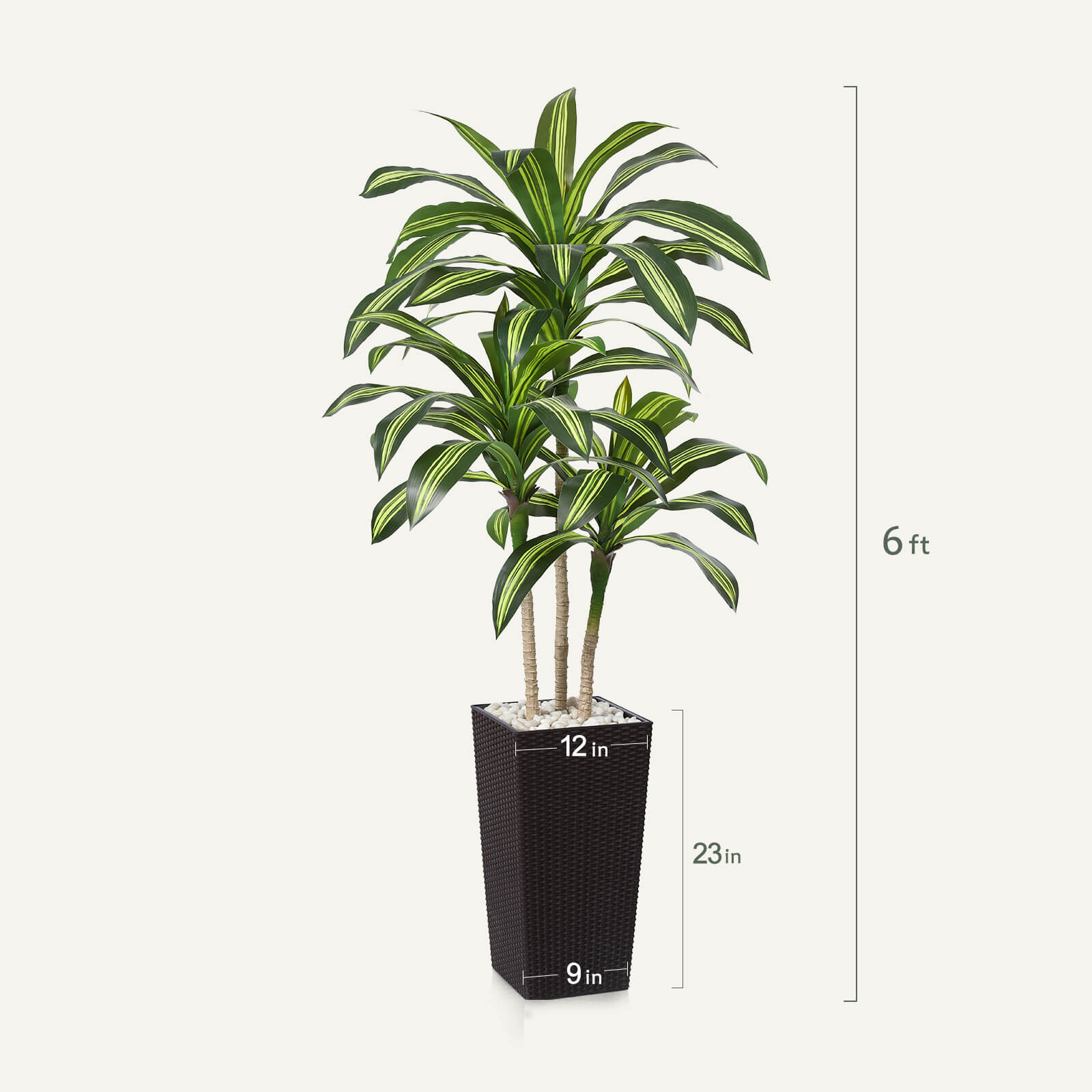 #size_6ft, #color_brown