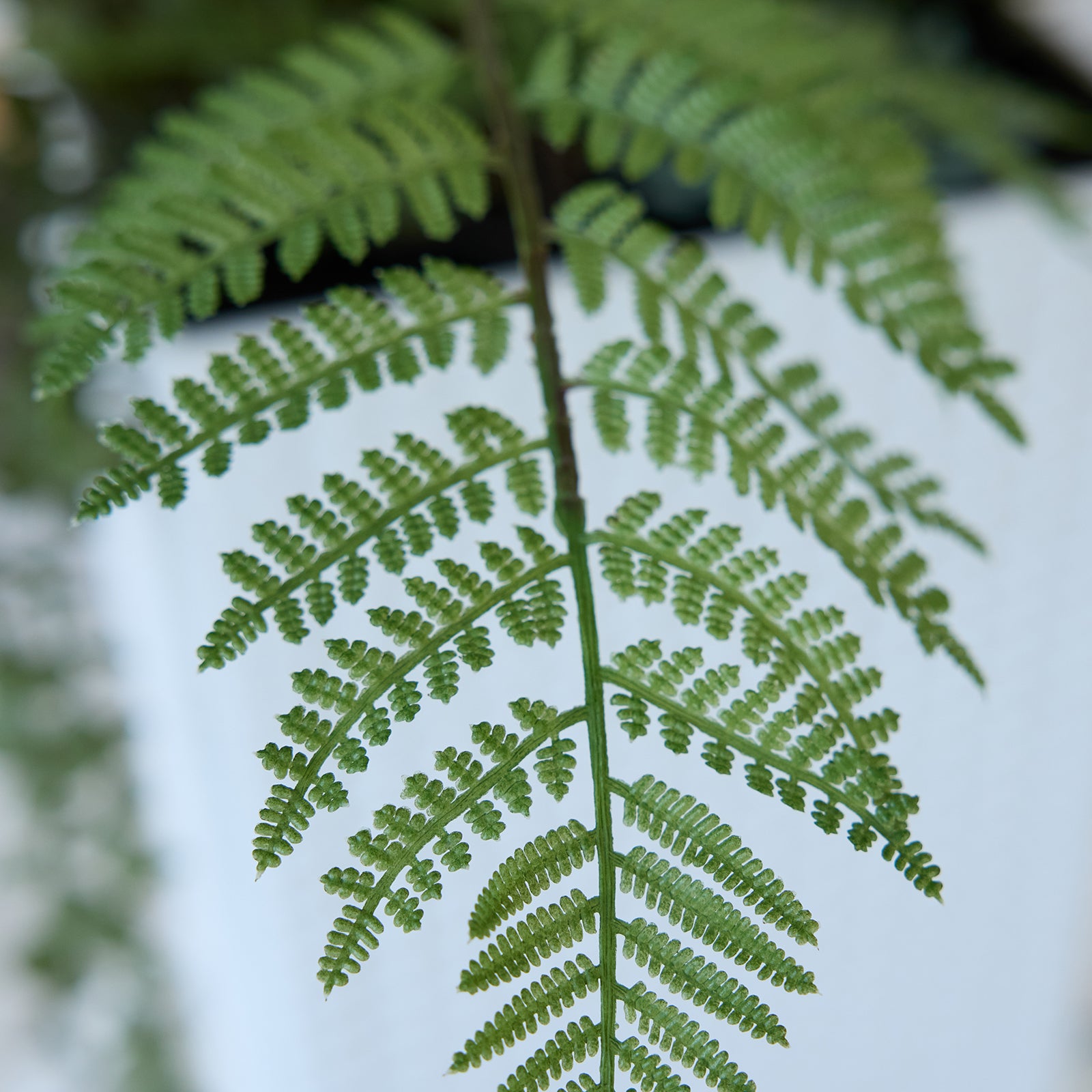VeriNatural 4FT Mixed Fern and Monstera Deliciosa Artificial Plants with Black Taper Planter for Indoor & Outdoor (VN150)