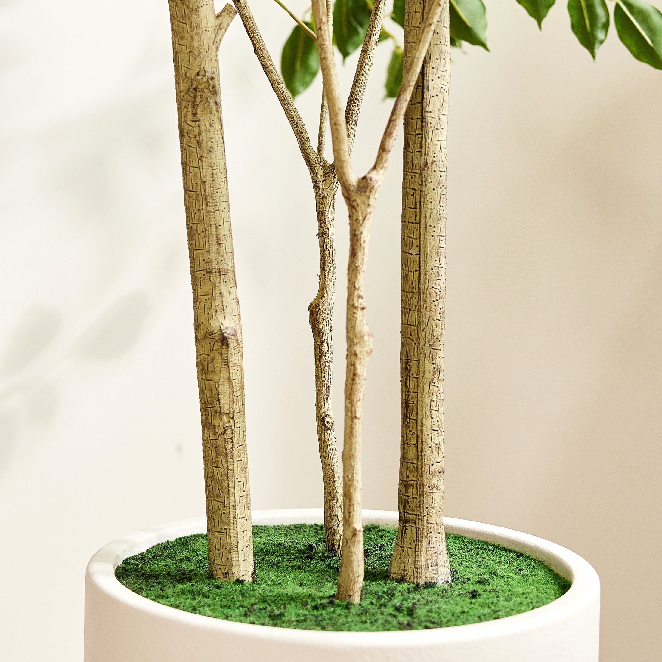 VeriNatural 6/7/8FT Artificial Ficus Tree – Realistic Faux Indoor Plant with White Planter, Floor Decor for Home & Office(VN233)